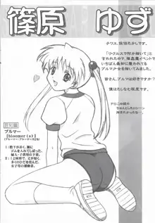 アリスのでんちばくだん Vol. 18, 日本語