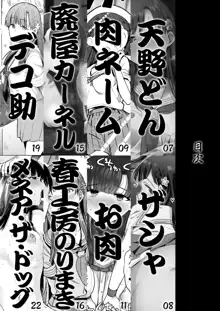 小早川紗枝のちんコキちん 弐, 日本語