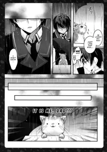 Nyancology 5 -Usami-san to Himitsu no Misshitsu- | Nyancology 5 -Usami-san And The Secret Room-, English