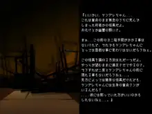 Eromonogatari Hitagi Cherry, 日本語