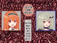 Mahou Shoujo Noble Rose/Extra Bad End | 마법소녀 노블로즈 엑스트라 배드엔드, 한국어