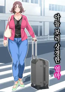 Musuko Ni Ai Ni Joukyou Shita Haha | 아들 보러 상경한 엄마, 한국어