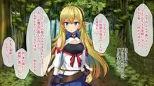 美少女エルフに女体化転生 ～異世界娼館でドスケベクエスト無双～, 日本語