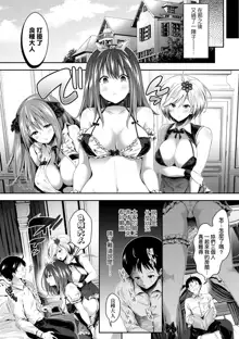 Harem Maid no Damedame Ecchi | 我與後宮女僕們♥不可告人的情事, 中文