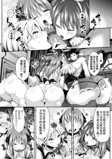 Harem Maid no Damedame Ecchi | 我與後宮女僕們♥不可告人的情事, 中文