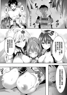 Harem Maid no Damedame Ecchi | 我與後宮女僕們♥不可告人的情事, 中文