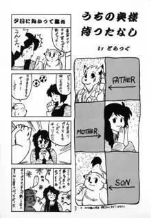 びっちゃん!, 日本語