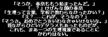 電脳美少女絵物語 春奈11歳, 日本語