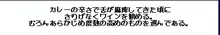 電脳美少女絵物語 春奈11歳, 日本語