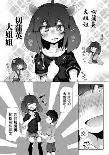 Tohoku no Chicchai Onee-chan ga Maigo no Otokonoko ni Kimochi Ii Ijirikata toka Oshiete Agechau no, 中文