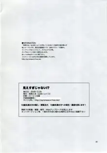 見えすぎじゃない!, 日本語