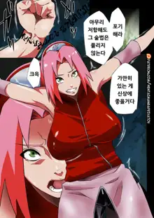 Saboten Nindou -Ibun- (decensored), 한국어