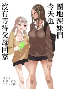 Danchi Gal wa Kyou mo Oya no Kaeri o Matte Inai | 團地辣妹們今天也沒有等待父母回家, 中文