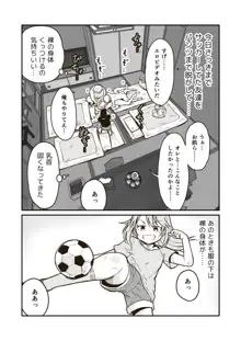 ひみつの布団部屋, 日本語