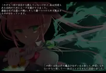 魔法少女ローザエンデ Loop3:刻まれた陵辱の記憶, 日本語