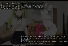 魔法少女ローザエンデ Loop3:刻まれた陵辱の記憶, 日本語