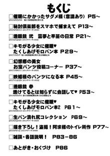 特殊シチュ短編総集編 東方シコるッ! 2, 日本語