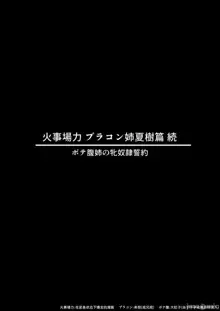 火事場力 ブラコン姉夏樹篇 続, 中文