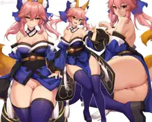 Tamamo No Mae, 日本語