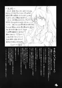 東方玄爺録2, 日本語