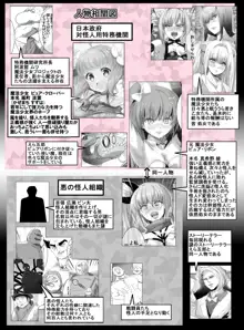 魔法少女VS怪人ペストマスク, 日本語