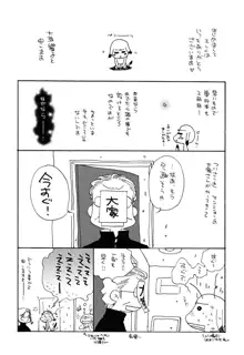 うそつきなきみ。, 日本語