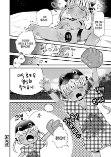 Ball Catch Hokiu-chan!, 한국어