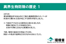 環境治安局捜査官 三剣鏡, 日本語