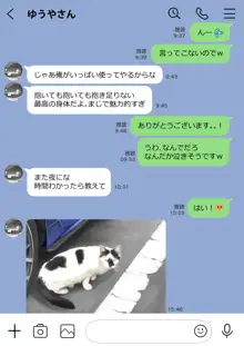 彼女のスマホを覗いただけなのに 2, 日本語