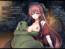 Half Elf wa Goblin Snyou no Harami Bukuro to Shite, 한국어