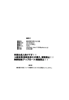 紫式部の淫らな小説, 中文