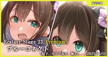 Ecstasy Stage 23 Premium ブルーコネクト, 日本語