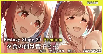 Ecstasy Stage 20 Premium 夕食の前は響子と…, 日本語