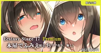 Ecstasy Stage 17 Premium 本屋でふみえっち