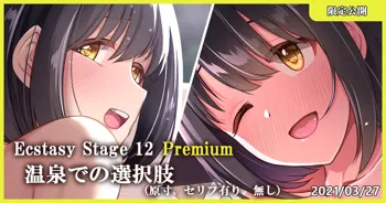 Ecstasy Stage 12 Premium 温泉での選択肢, 日本語