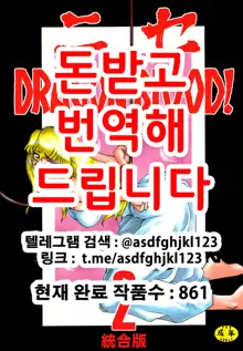 Nise Dragon Blood! 2, 한국어