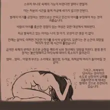 적응교배, 한국어