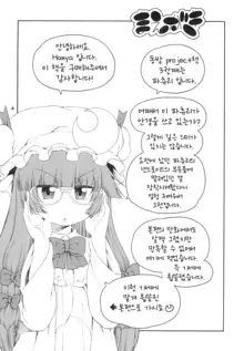 Touhou Meiko ~Patchouli Hen~ | 동방미입 ~파츄리 편~, 한국어