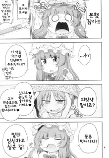 Touhou Meiko ~Patchouli Hen~ | 동방미입 ~파츄리 편~, 한국어