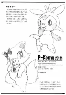 P-Kemon 2013h, 日本語