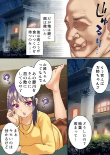 生意気双子令嬢 催眠アプリでチンポ堕ち, 日本語