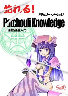 Yareru! Patchouli knowledge, 日本語