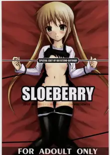 SLOEBERRY, 日本語