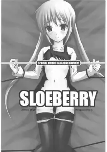 SLOEBERRY, 日本語