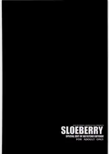 SLOEBERRY, 日本語