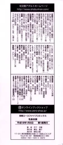 性姦奴隷, 日本語