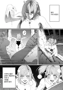 Chikara Aru Succubus wa Seiyoku o Mitashitai dake. 4 | 힘을 가진 서큐버스는 그저 성욕을 채우고 싶을뿐. 4, 한국어