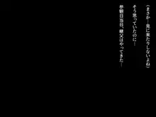 僕の好きな先生はもういない, 日本語