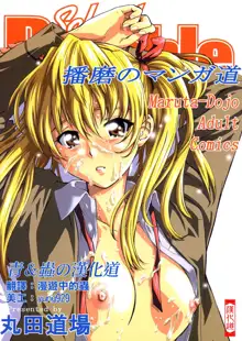 School Rumble Harima no Manga Michi, 中文