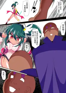 Heroine Harassment 淫獣ハンターリトルブロッサム, 中文